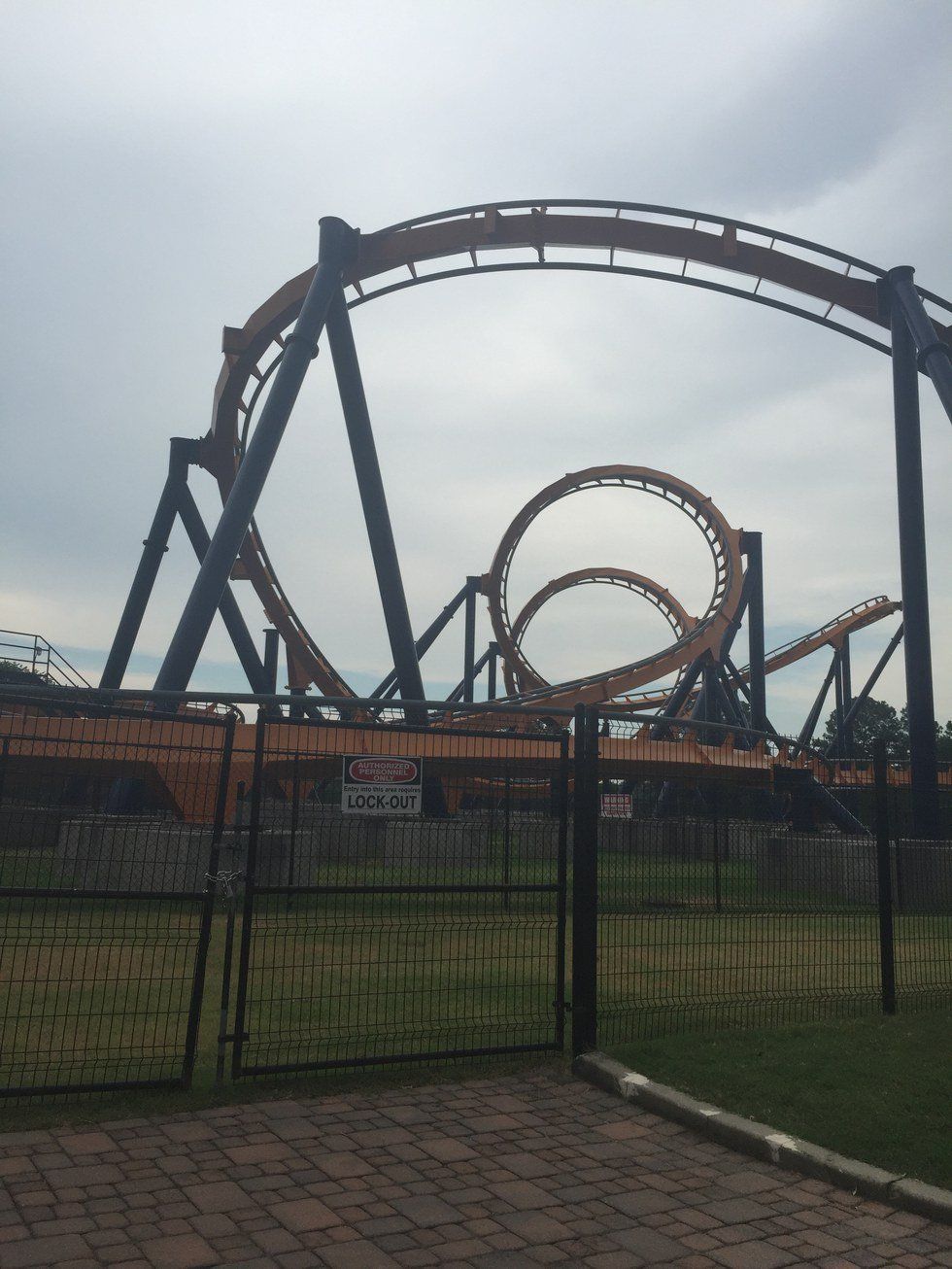 The Truth About Roller Coasters