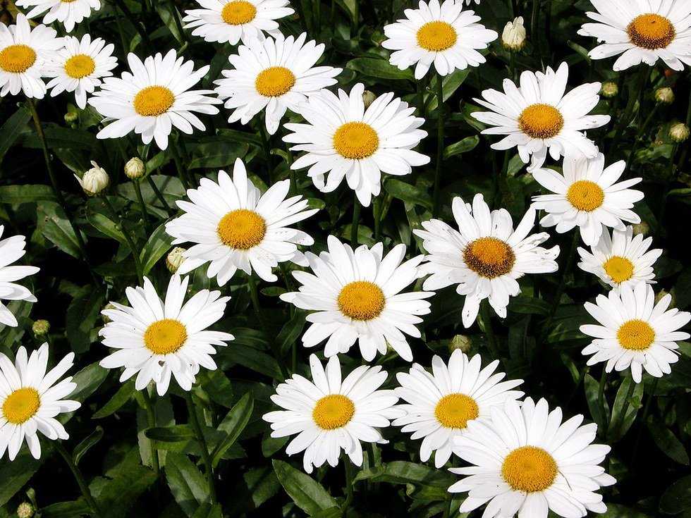 10 Little Reasons to Smile