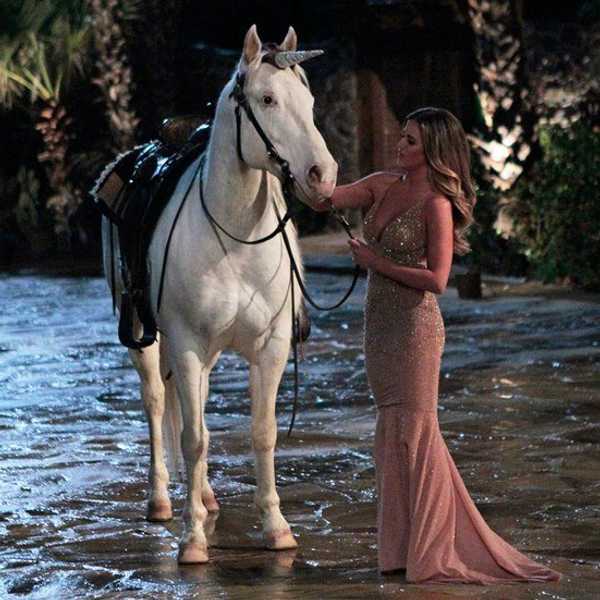 Previously On 'The Bachelorette'