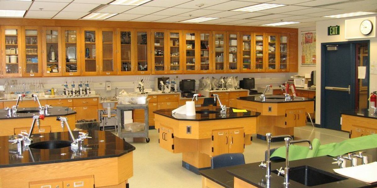 An Accelerated Science Program: What's That All About? | The Odyssey Online