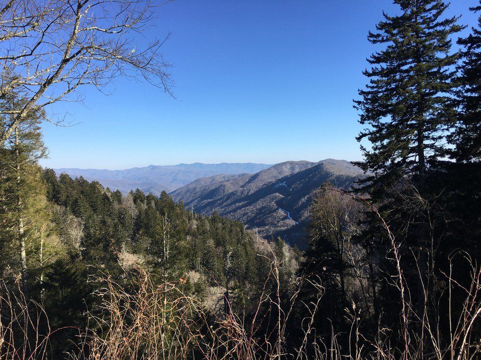 Calling All Pharisees