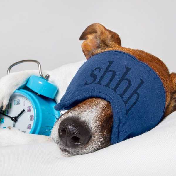 Confessions Of A Napping Enthusiast
