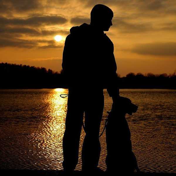 Why Dogs Really Are A 'Man's Best Friend'