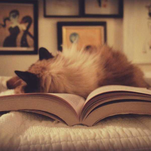 Five Things You Get Asked As A Fanfiction Writer