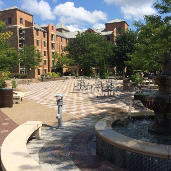 13 Reasons Why Franciscan University Is Basically Catholic Hogwarts