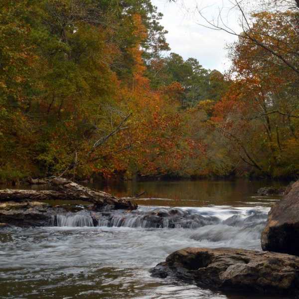 10 Reasons Why Fall Is The Best Season
