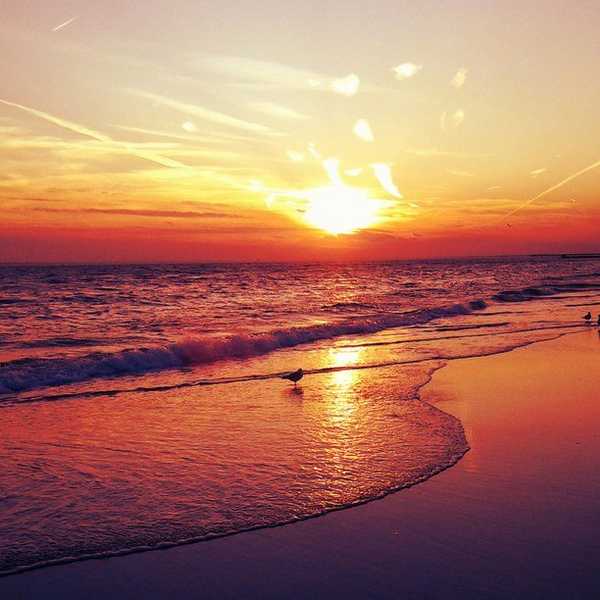 15 Things To Do in the Last Month of Summer