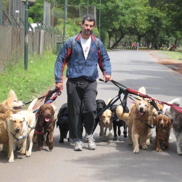 20 Things Only Dog Owners Will Understand