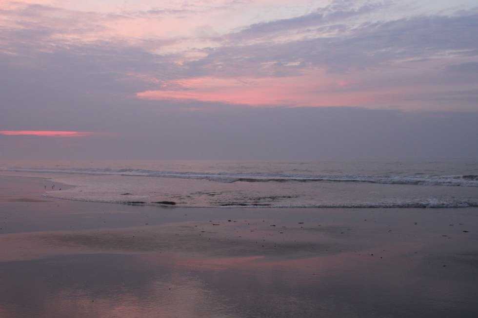 A Shell In The Beach