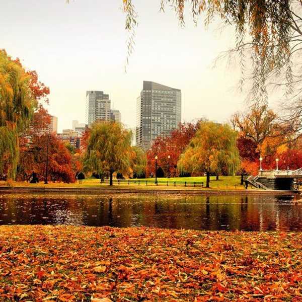 11 Things To Be Excited About For Fall