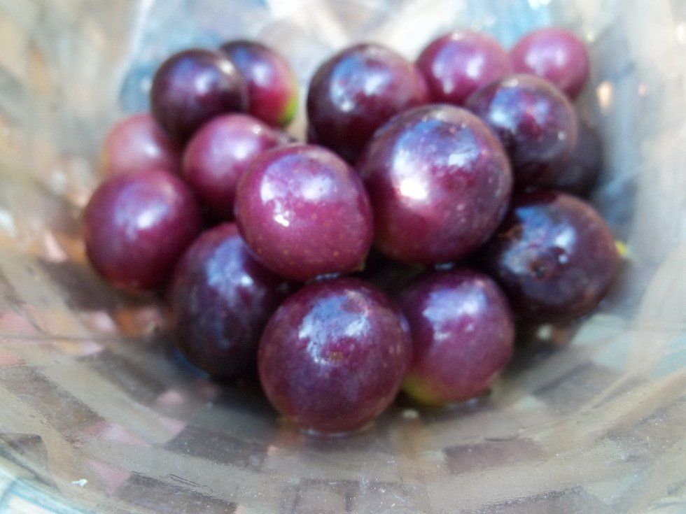 10 Effective Post-Workout Foods That Aid In Recovery