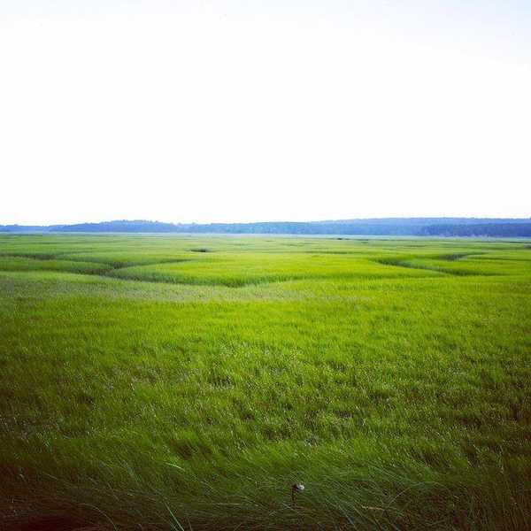 An Open Letter To My Middle School Self