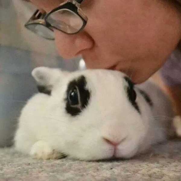14 Random Rabbit Facts I Learned From My Bun