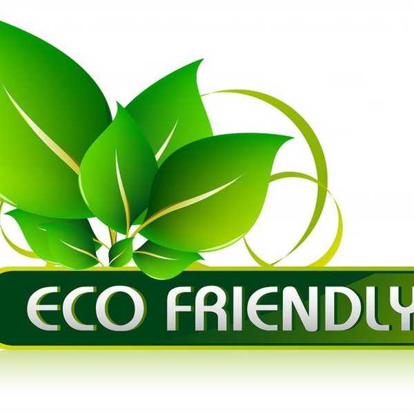 4 Eco-Friendly Tips For Your Home
