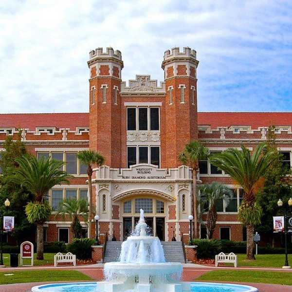 A Letter to My College Advisor