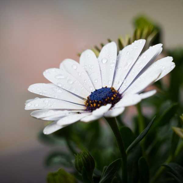 When Life Happens, Remember This.