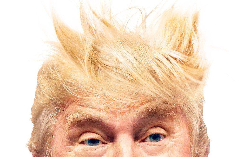 Nine Reasons Not To Vote For Donald