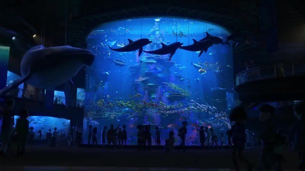 “Finding Dory” Emphasizes The Value Of Family And Perseverance