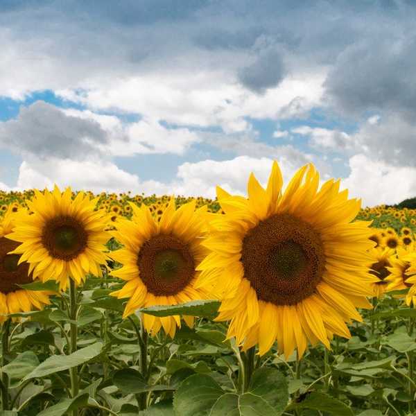 47 Things You Need To Do Before Summer Ends