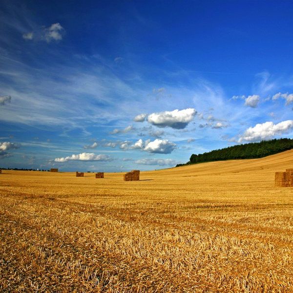 11 Signs You're From Oklahoma