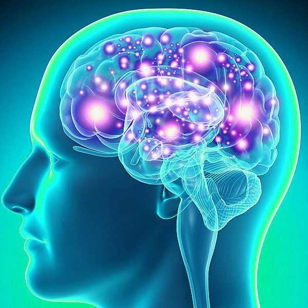 9 Things That Happen To All Psychology Majors