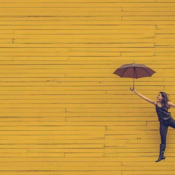 Confessions Of An Avid Dreamer