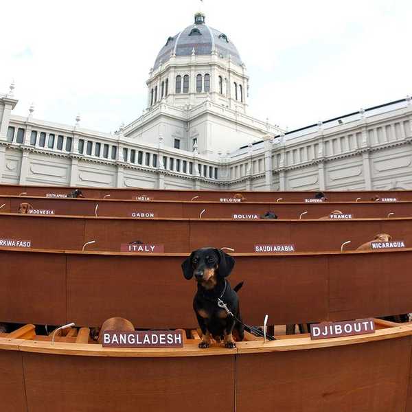 A Distraction From The State Of The World