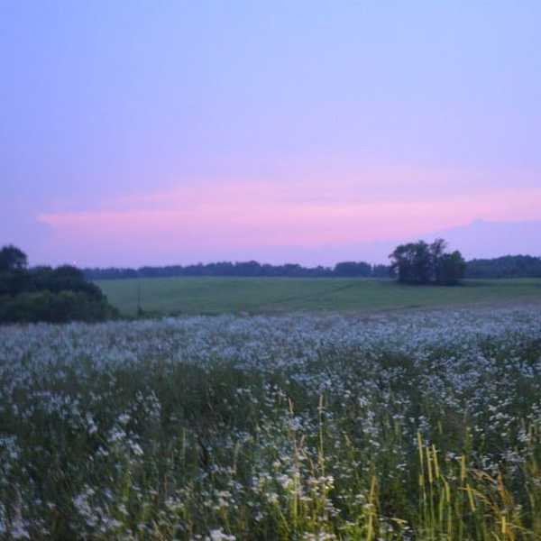 10 Easy Ways To Be More Eco-Friendly