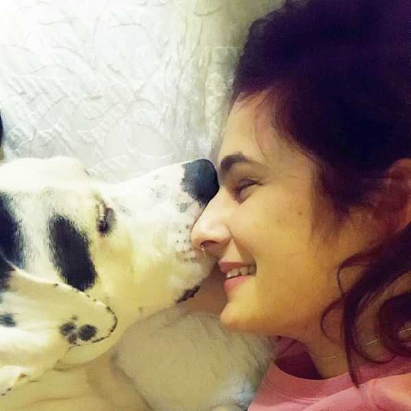 Service Dogs Won't Bite, But We Will