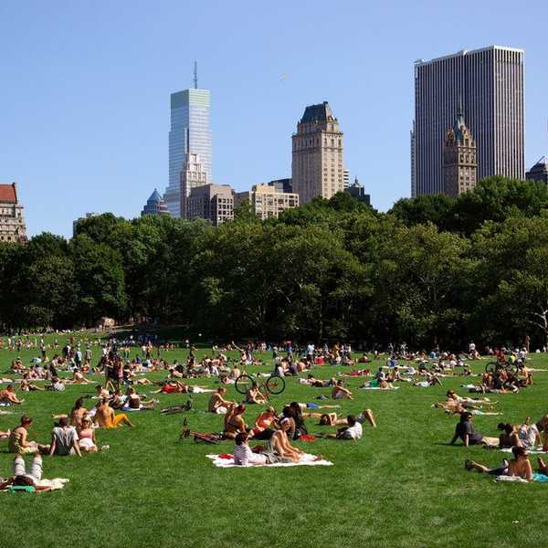 Summer In New York