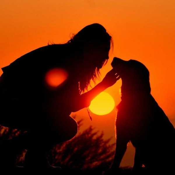 10 Signs That Your Dog Is Actually Your Best Friend