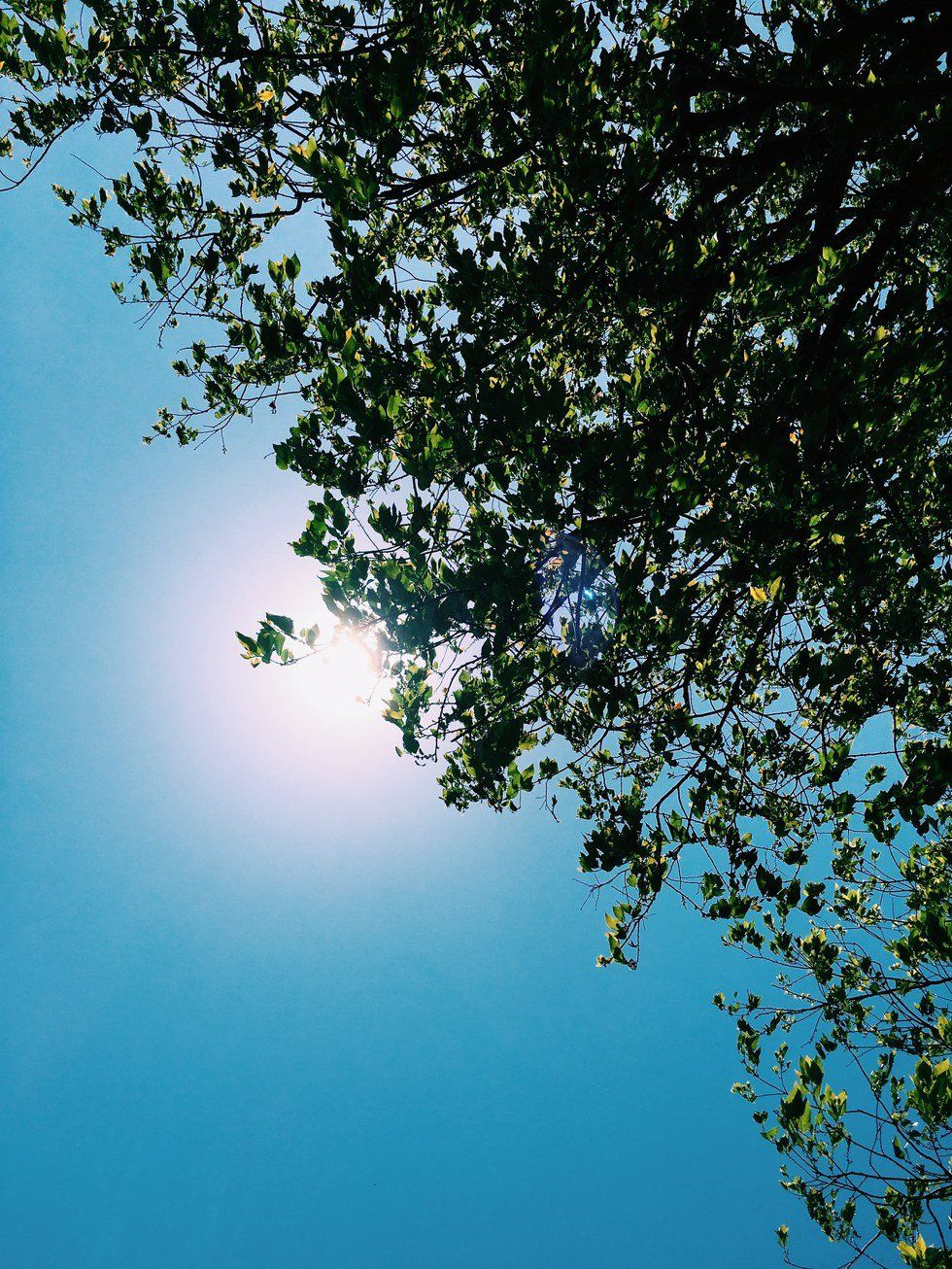 Your Right To Freedom Of Speech Is Not An Excuse For Hate Speech