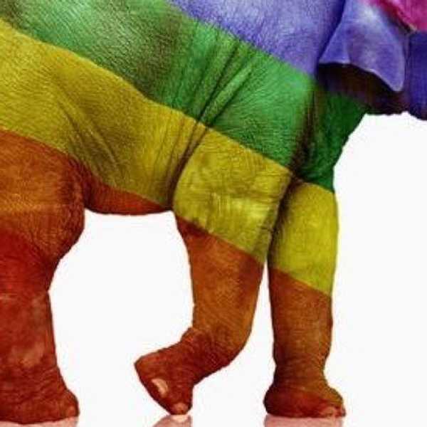 The GOP's Mixed Messages On LGBTQ Rights