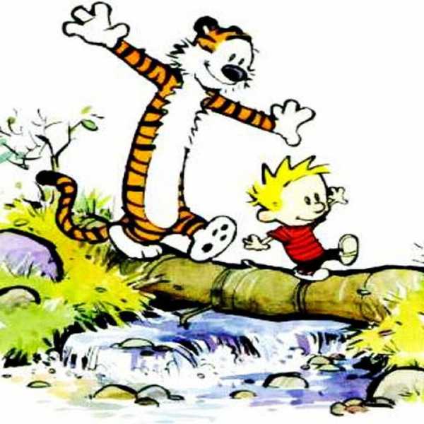 The Magical World Of Calvin And Hobbes