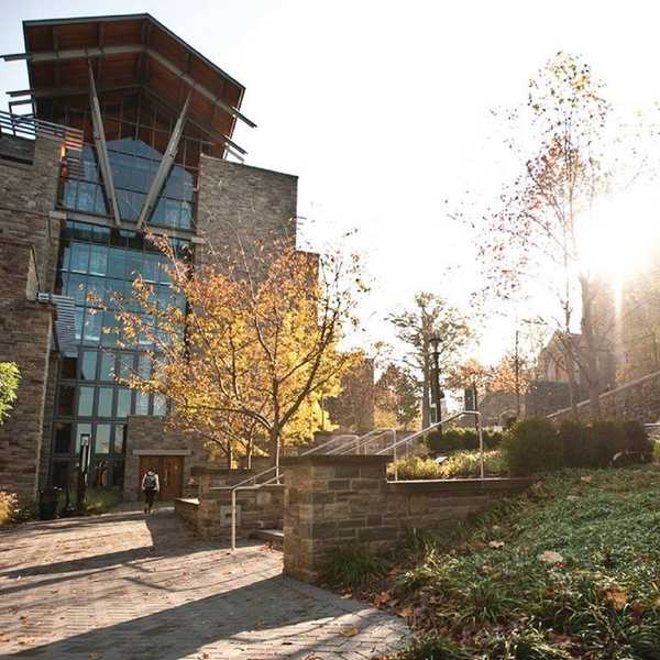 Every Reason Loyola Is The Best Decision Over Four Years