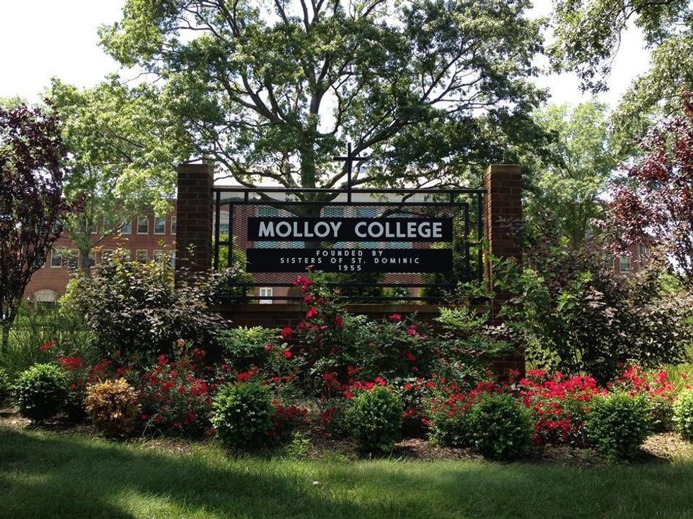 I Chose Molloy, and Molloy Chose Me