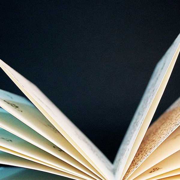 YA Books That You Can Still Read As An Adult