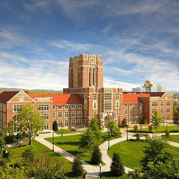 8 Ways You Know You Go To UT