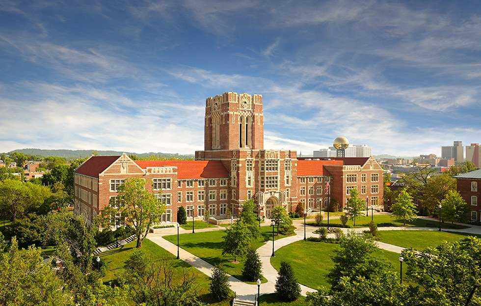 8 Ways You Know You Go To UT