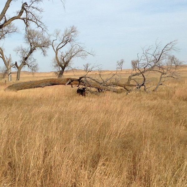 1 Girl, 2 Worlds, Major Disconnect