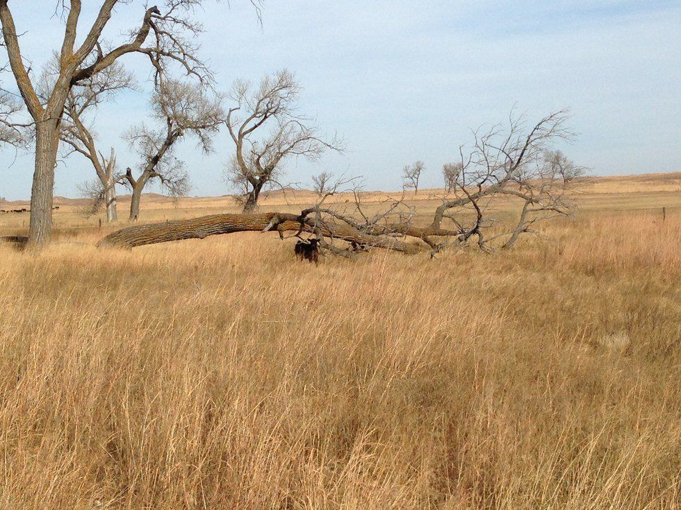 1 Girl, 2 Worlds, Major Disconnect