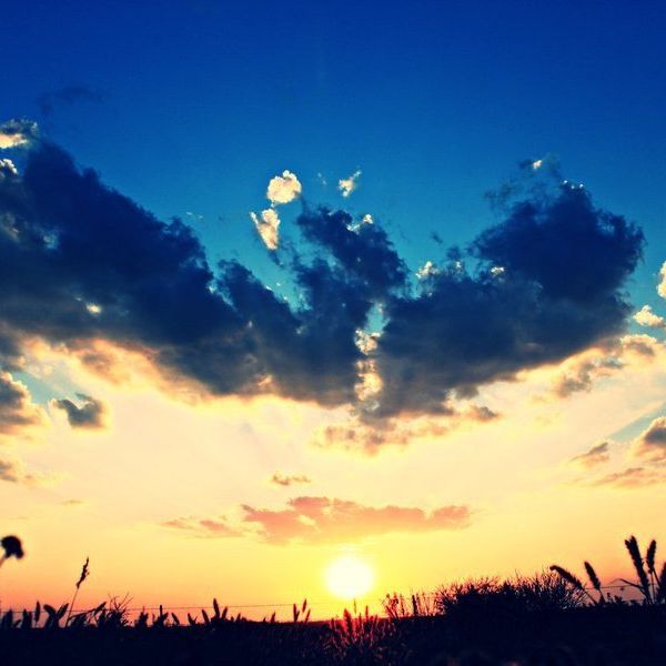 15 Bible Verses For College Students