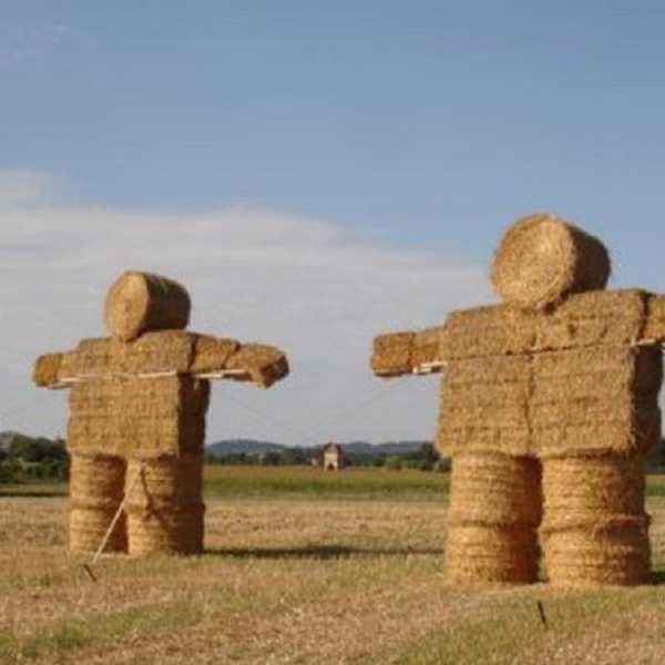 Straw Men In The Comments Section