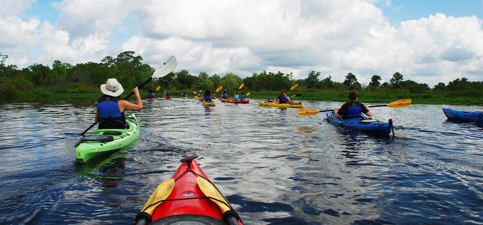 Top 5 Charleston Adventures And Activities