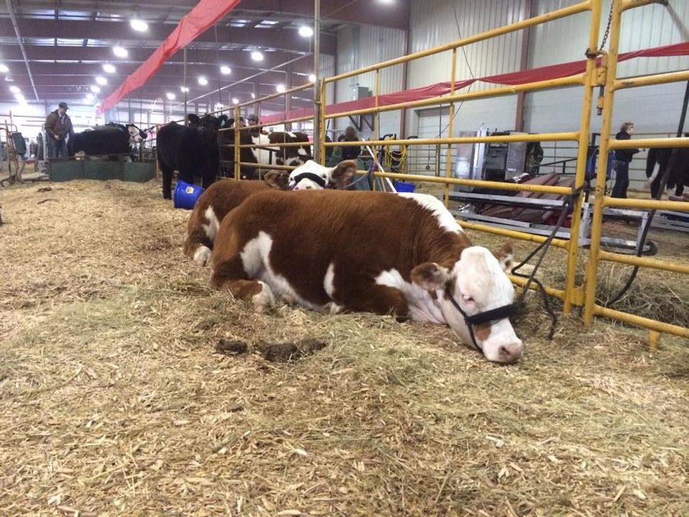 The First Time I Was Too Old