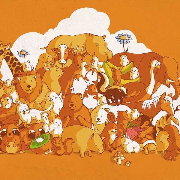 25 Signs You're A True Animal Lover