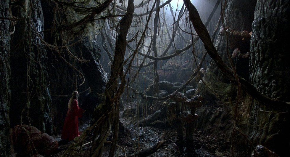 Where Angels Fear To Tread