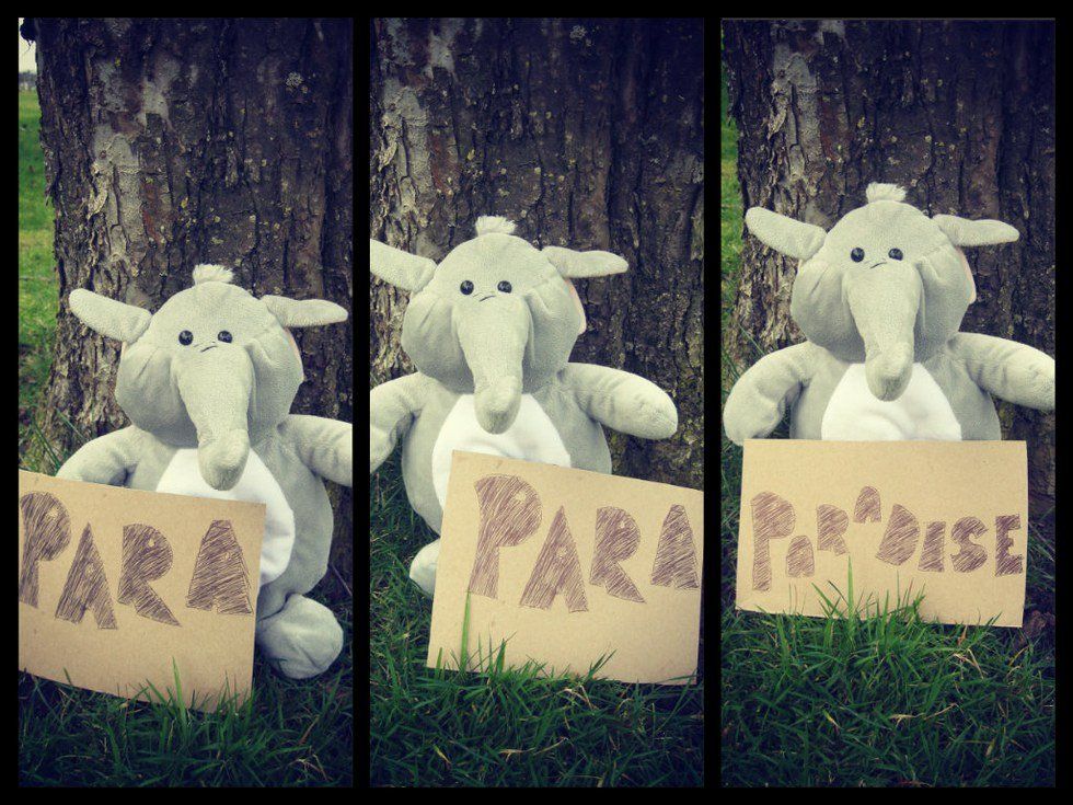 Reliving My Pre-Freshman Year