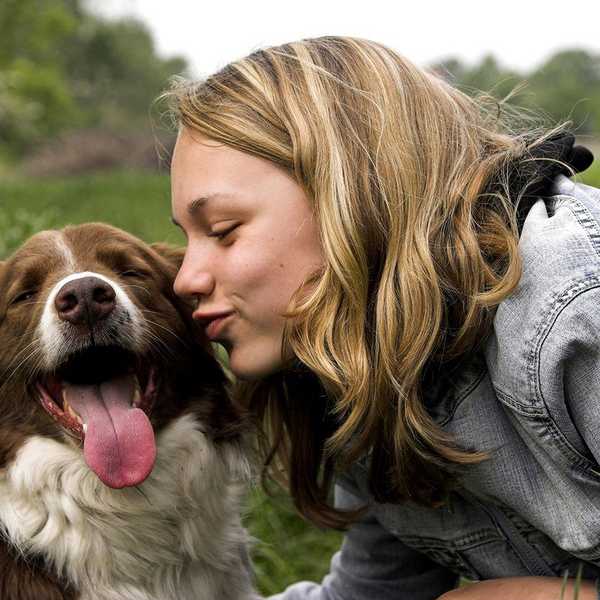 To Anyone Who Has Lost A Furry Family Member