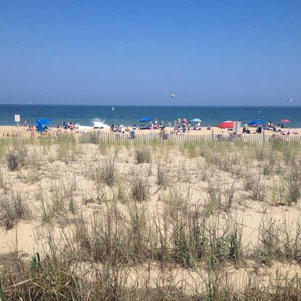 5 Things To Do Before Summer Ends
